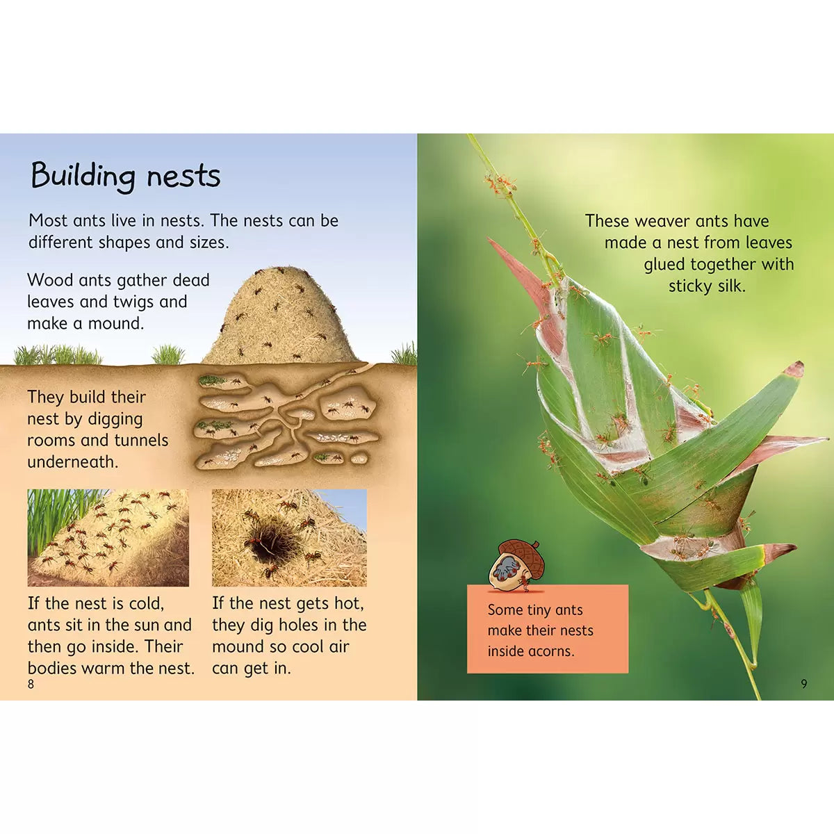 Usborne Beginners Boxset in 3 Options: Animals, Nature, or Science