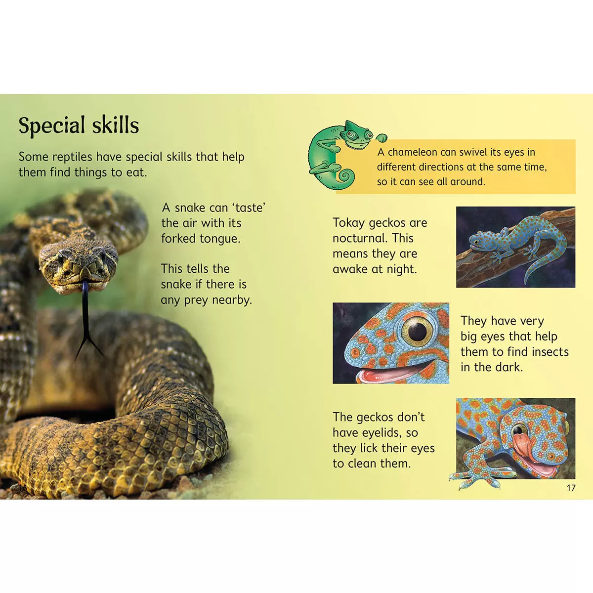 Usborne Beginners Boxset in 3 Options: Animals, Nature, or Science