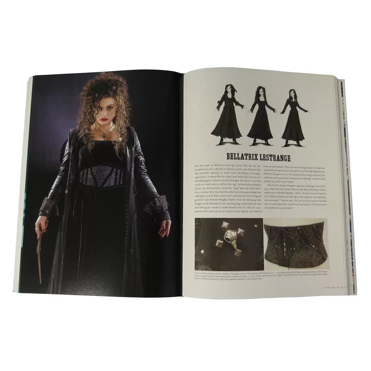 Harry Potter Page to Screen: The Complete Filmmaking Journey Updated Edition by Bob McCabe, view 2