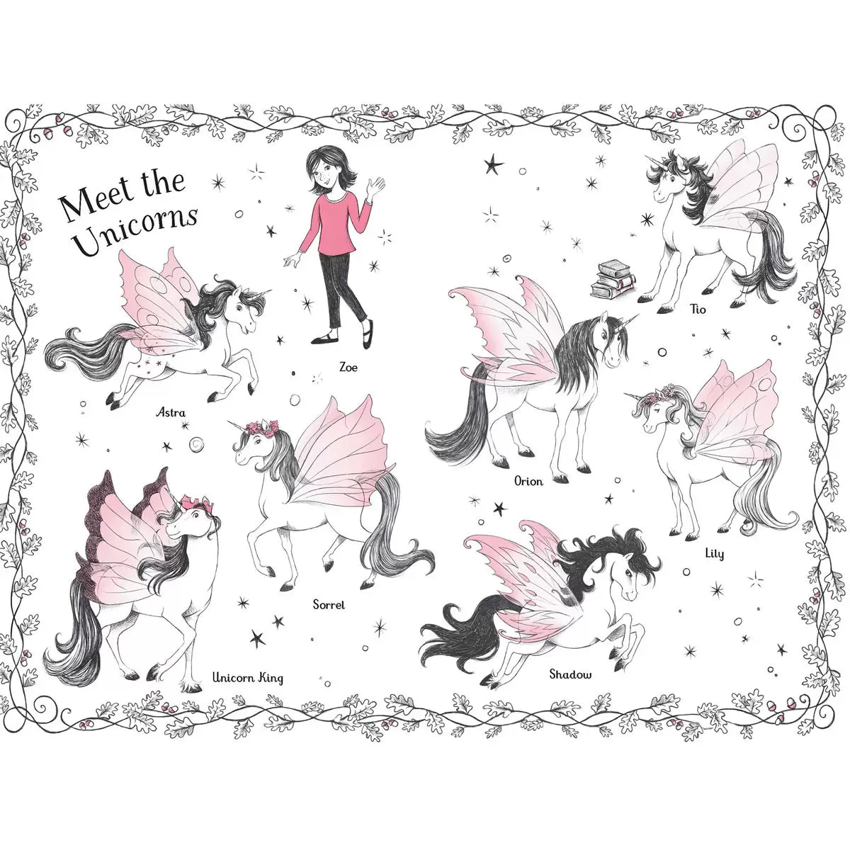 Fairy Unicorns x6 Book Collection