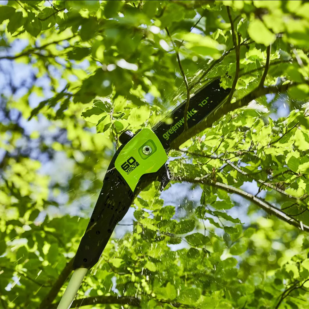 Greenworks 60V 25cm Poletrimmer (Tool only)