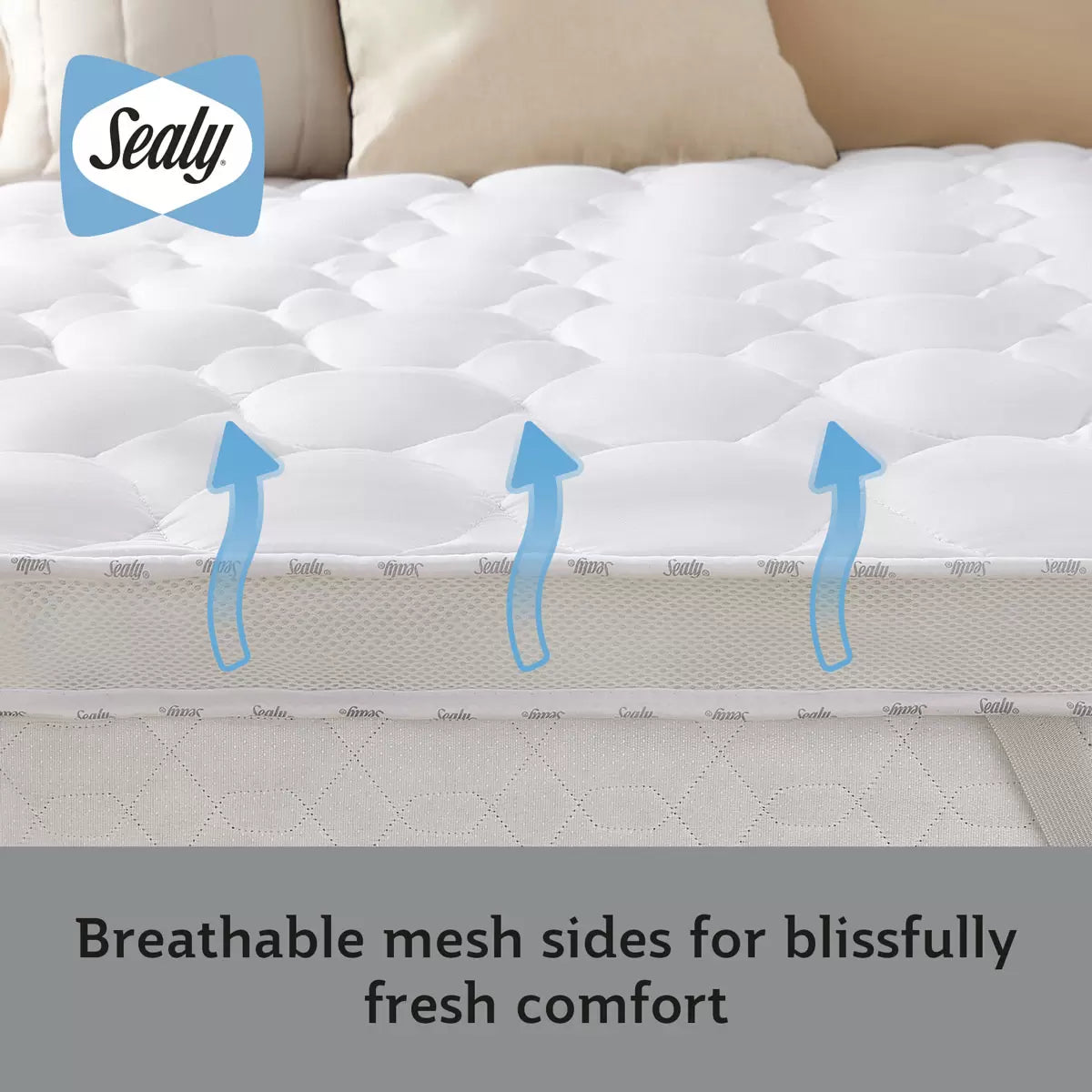 Sealy Deeply Full Mattress Topper in 4 Sizes