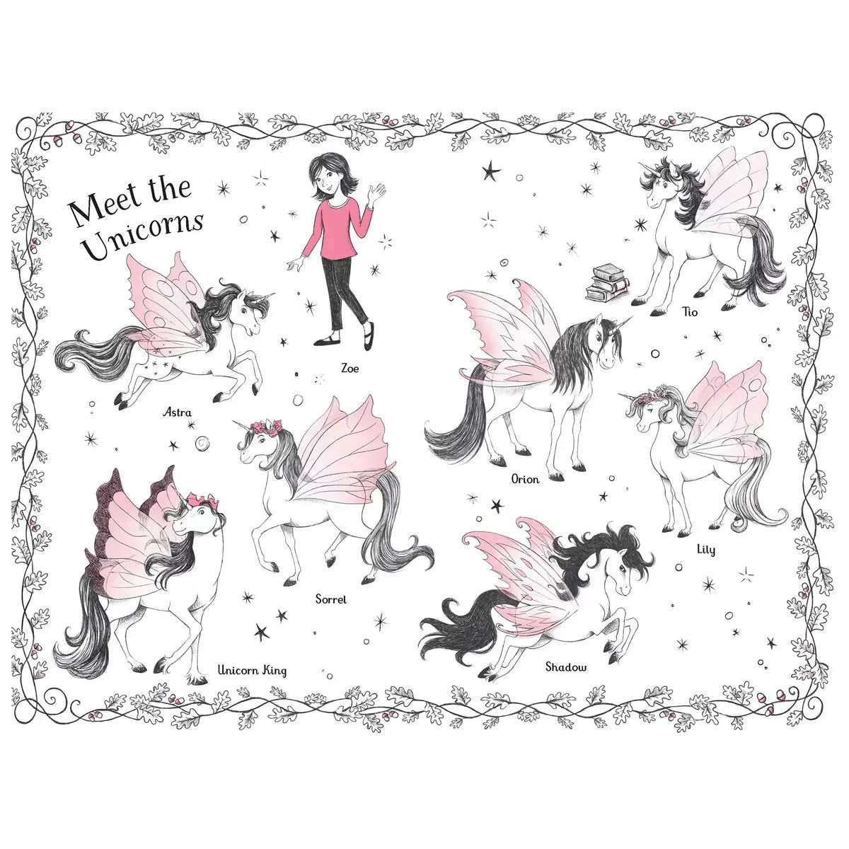 Fairy Unicorns x6 Book Collection