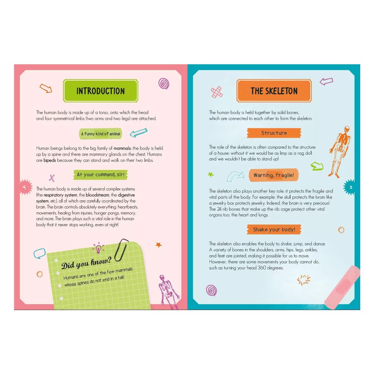 Magnetic Boxes in 3 Options: Human Body, Dinosaurs, Space, view 15