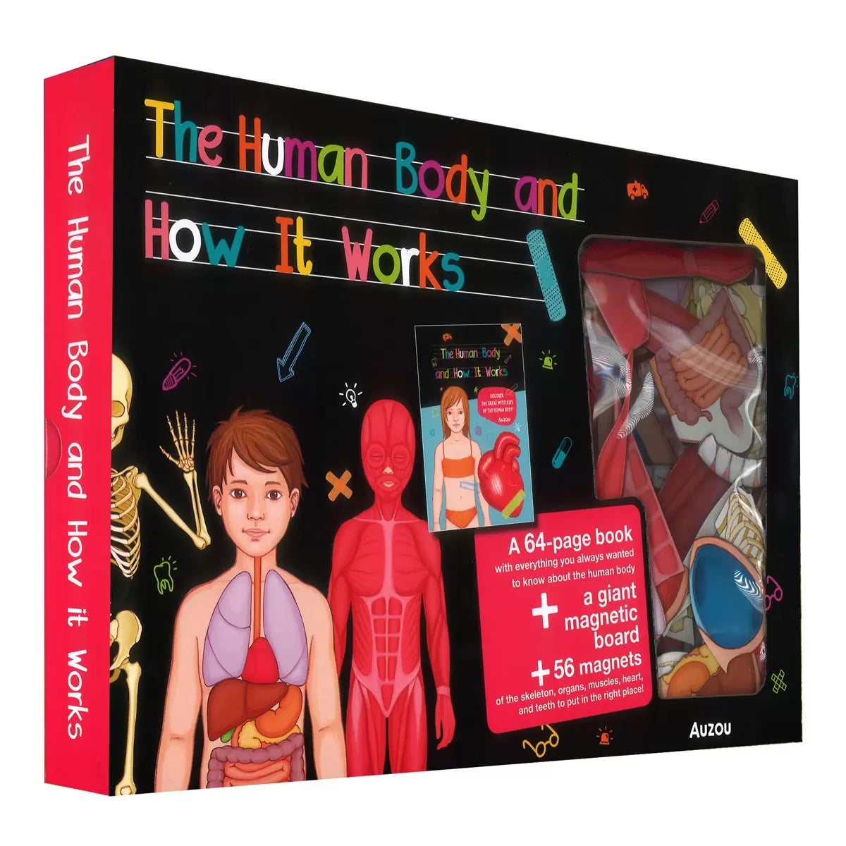 Magnetic Boxes in 3 Options: Human Body, Dinosaurs, Space, view 12