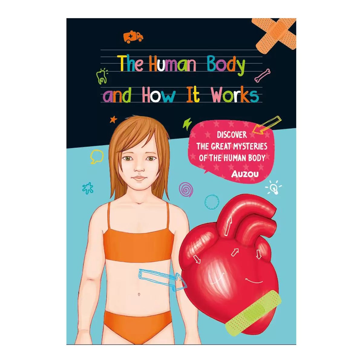 Magnetic Boxes in 3 Options: Human Body, Dinosaurs, Space, view 16