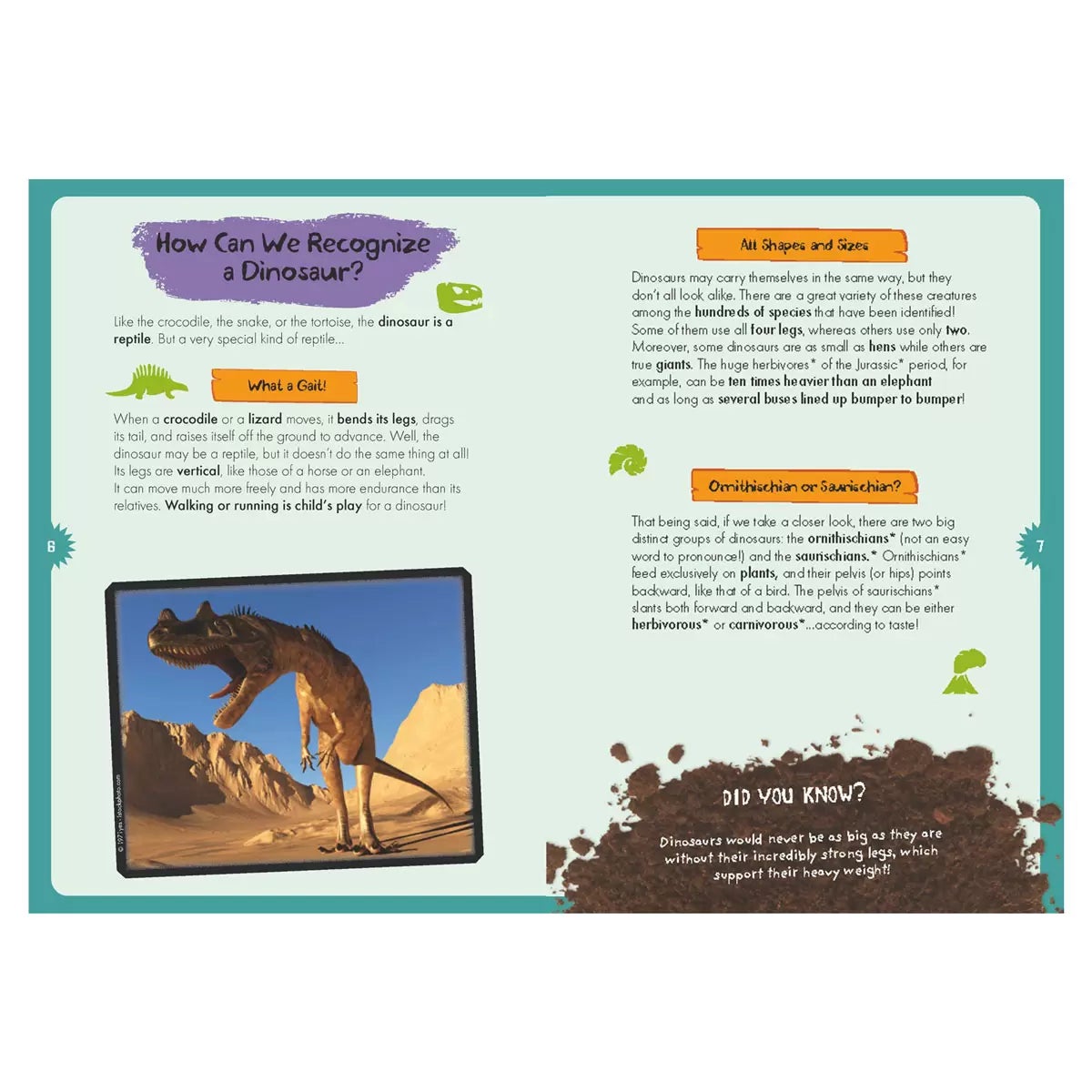 Magnetic Boxes in 3 Options: Human Body, Dinosaurs, Space, view 8