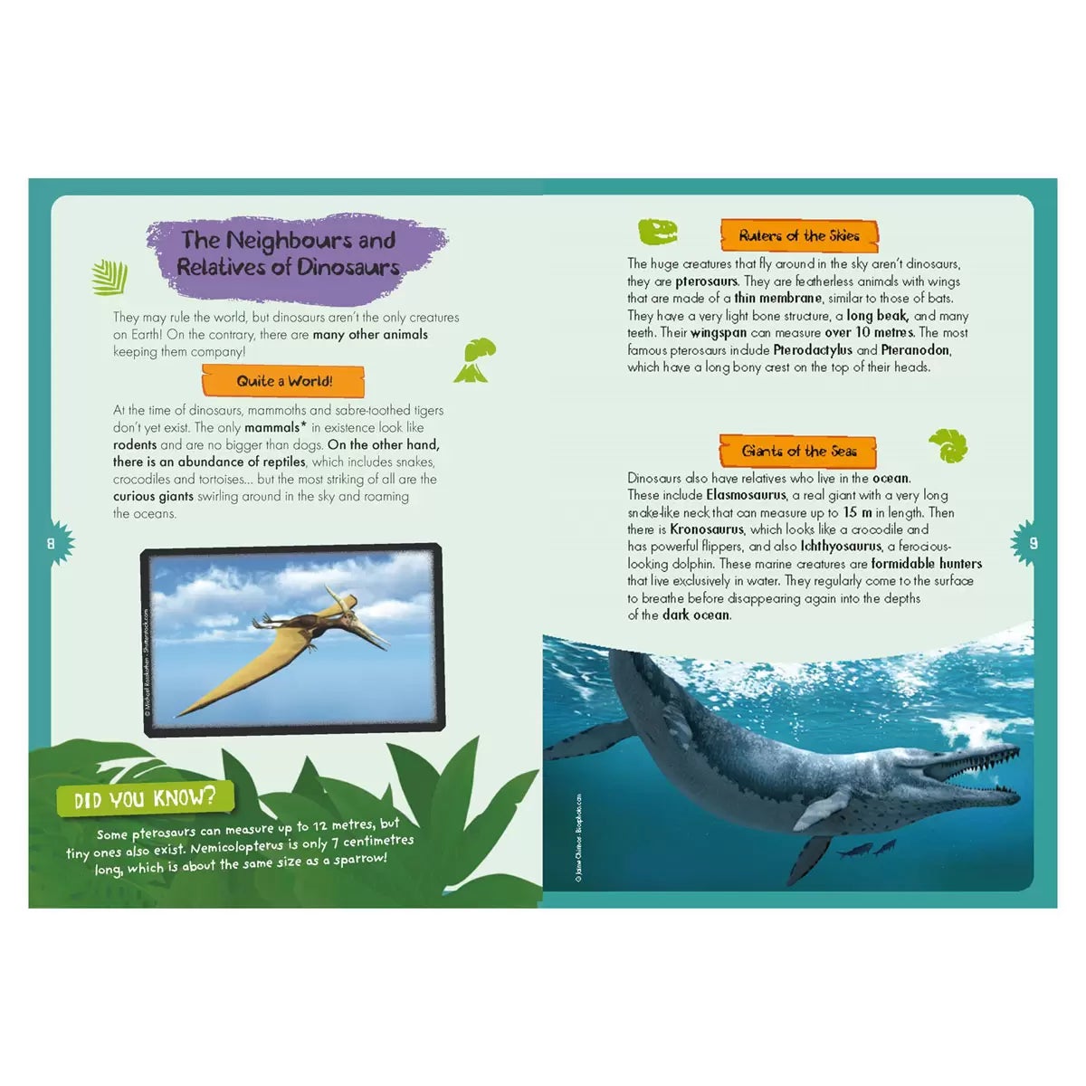 Magnetic Boxes in 3 Options: Human Body, Dinosaurs, Space, view 10