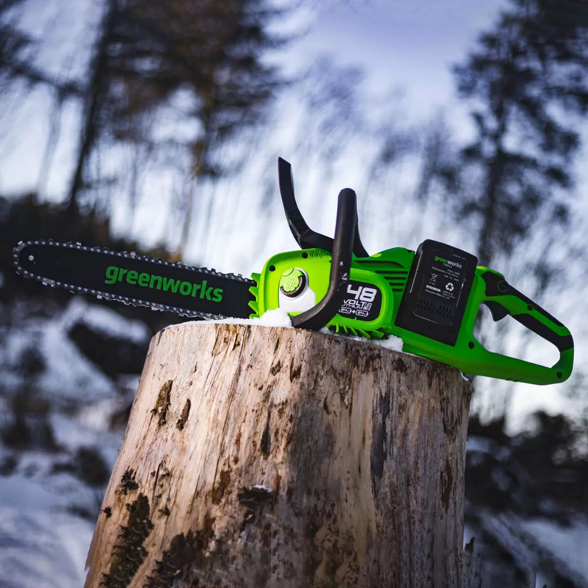 Greenworks 48V 36cm Cordless Brushless Chainsaw + 2 x 24V (4Ah) Battery & 2Ah