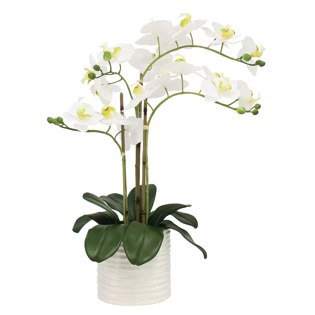 Artificial Orchid in Ribbed Ceramic Pot, view 3