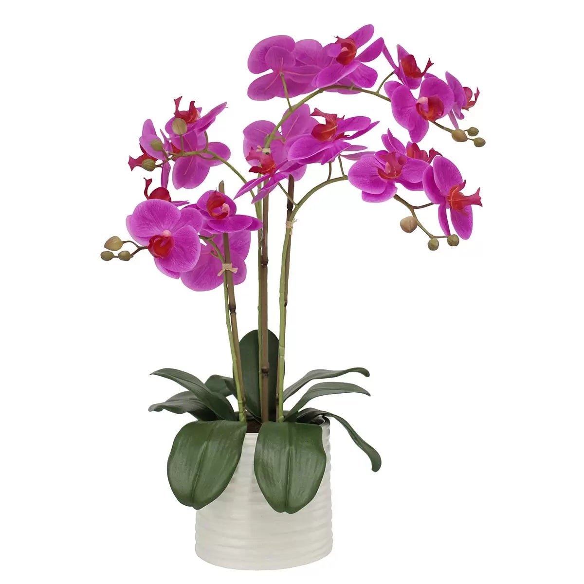 Artificial Orchid in Ribbed Ceramic Pot, view 7