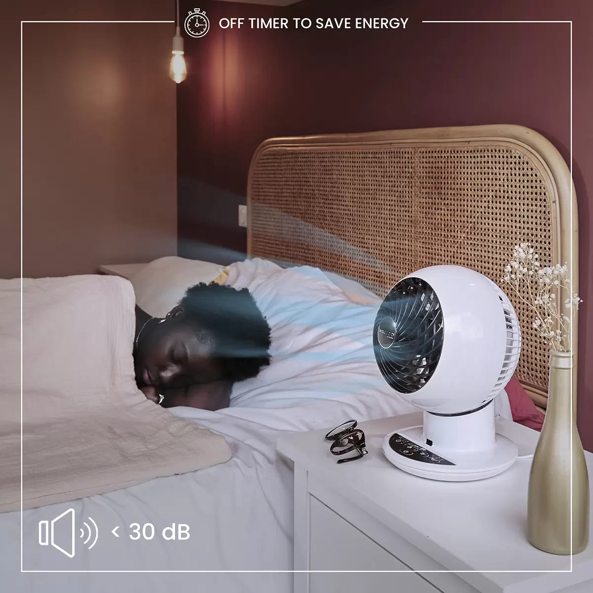 Woozoo Globe Air Circulator Fan with Remote Control