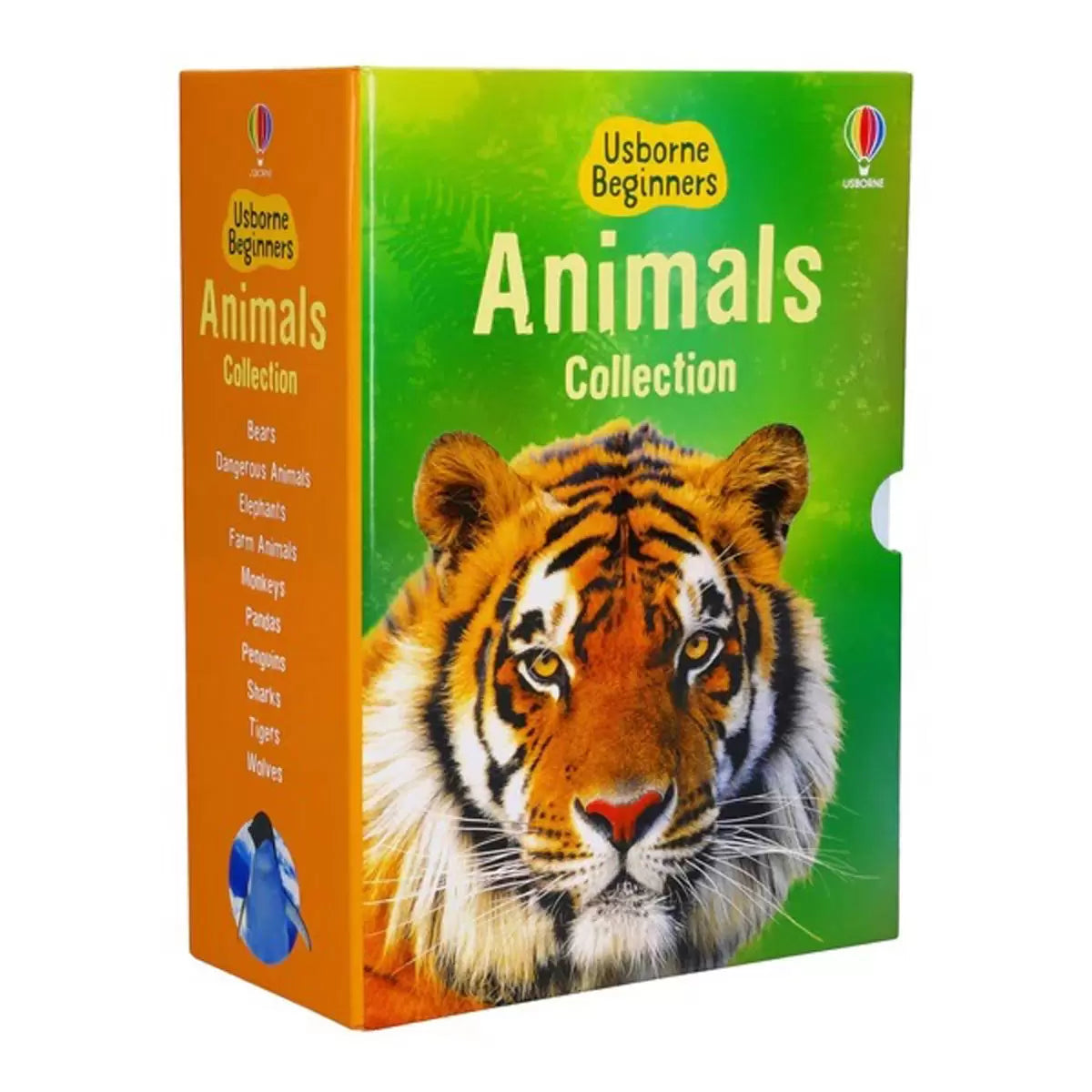 Usborne Beginners Boxset in 3 Options: Animals, Nature, or Science