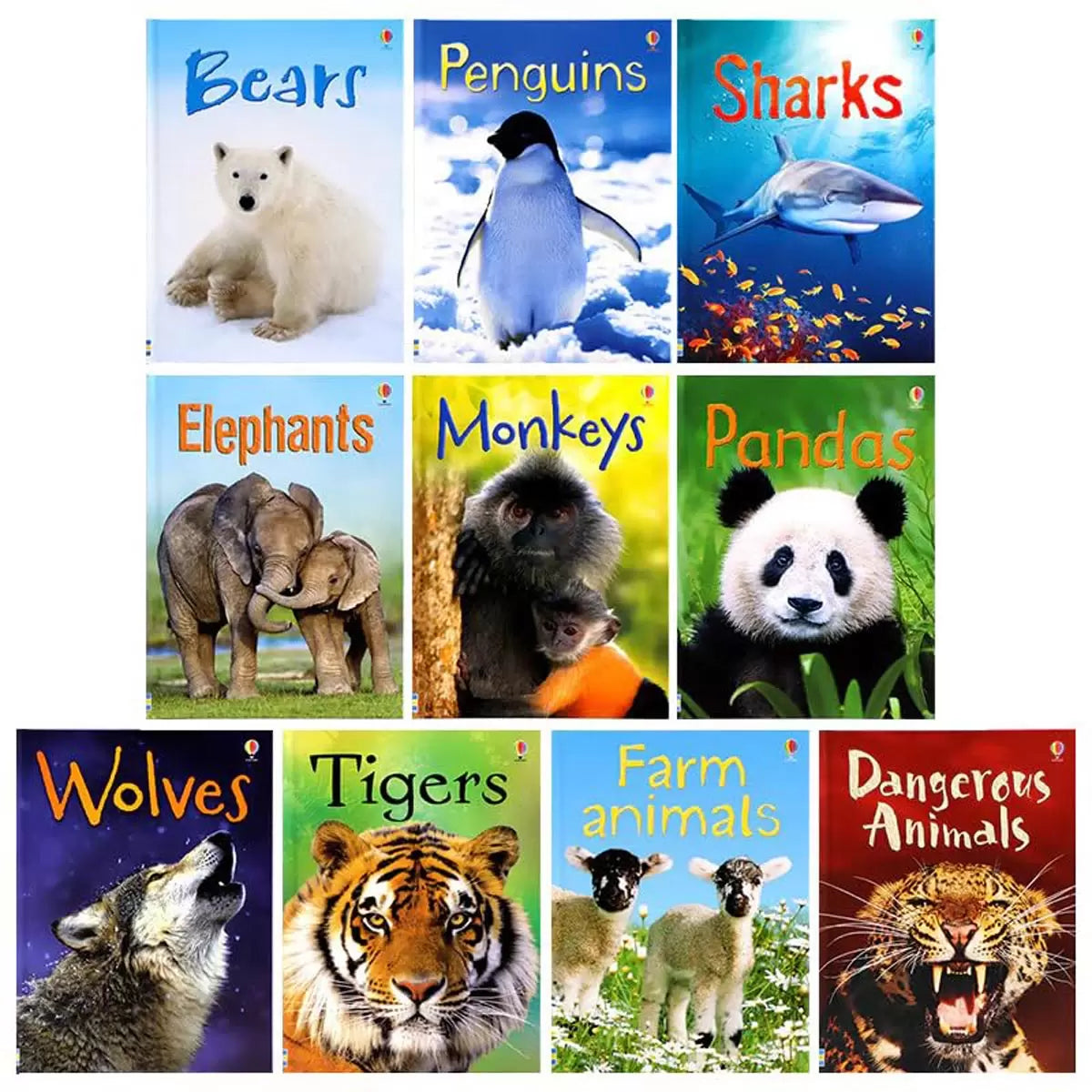 Usborne Beginners Boxset in 3 Options: Animals, Nature, or Science