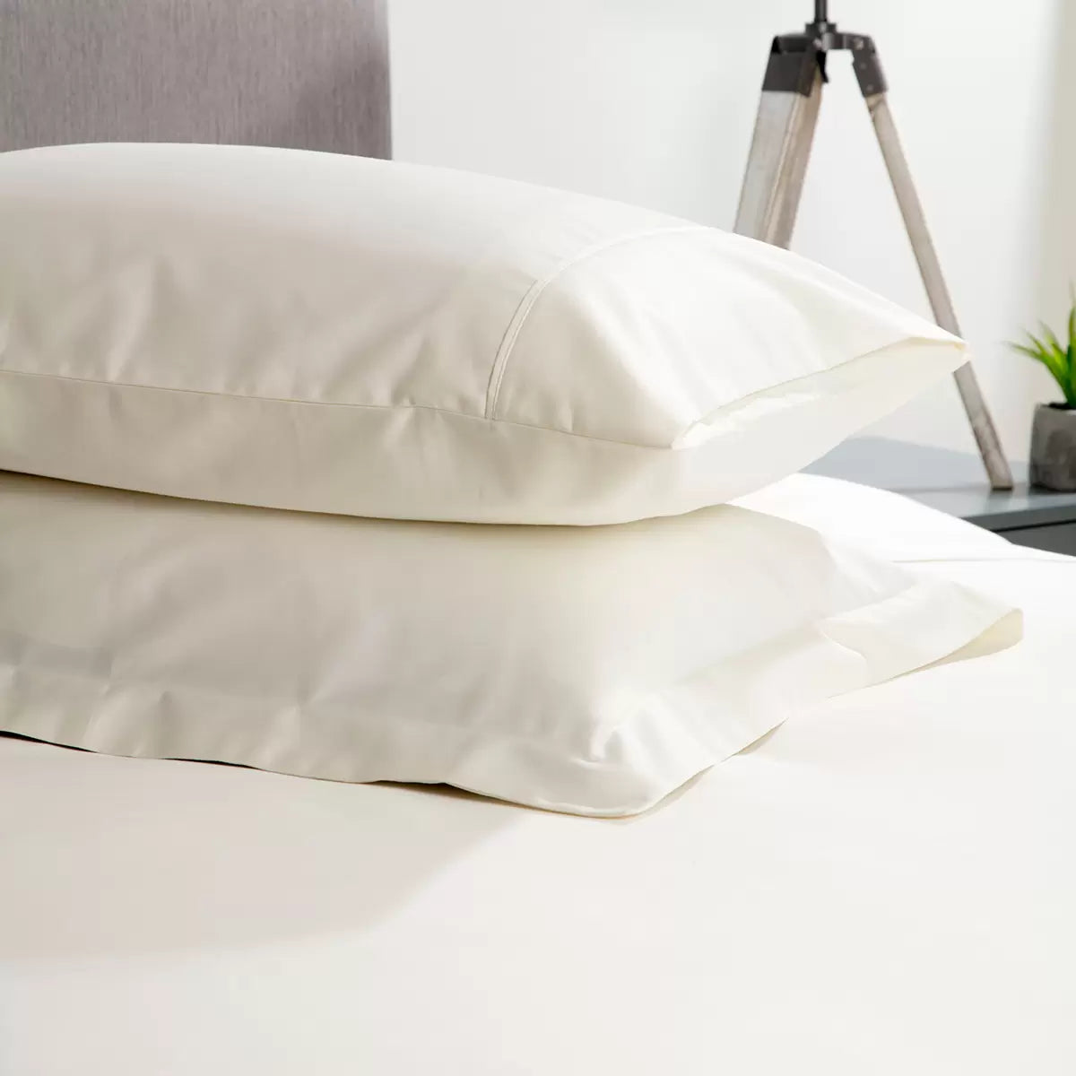 Belledorm 600 Thread Count Cotton Pillowcase Pair
