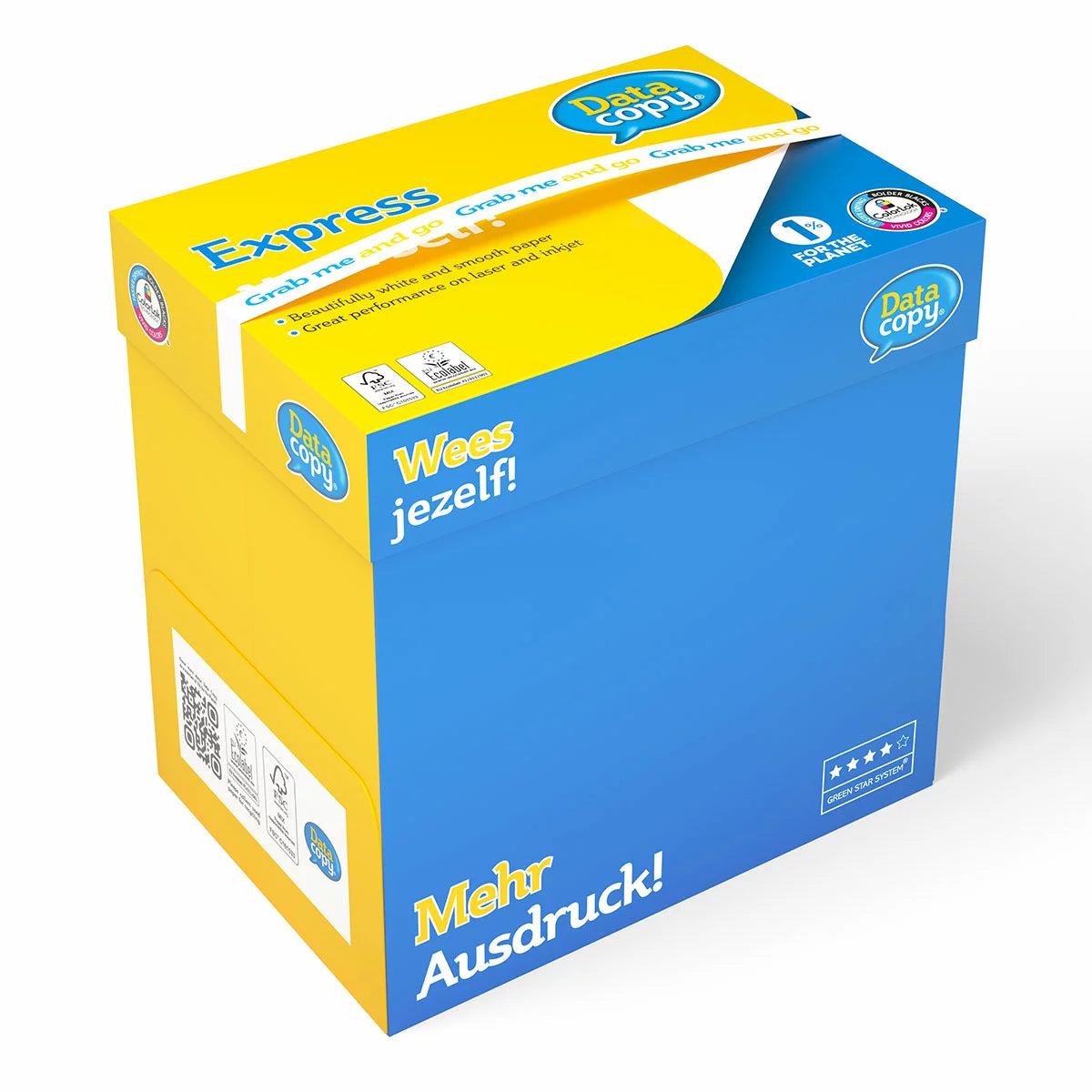 Data Copy ECF A4 100gsm, 1 Box of 2500 Sheets (5 Reams of 500 Sheets)