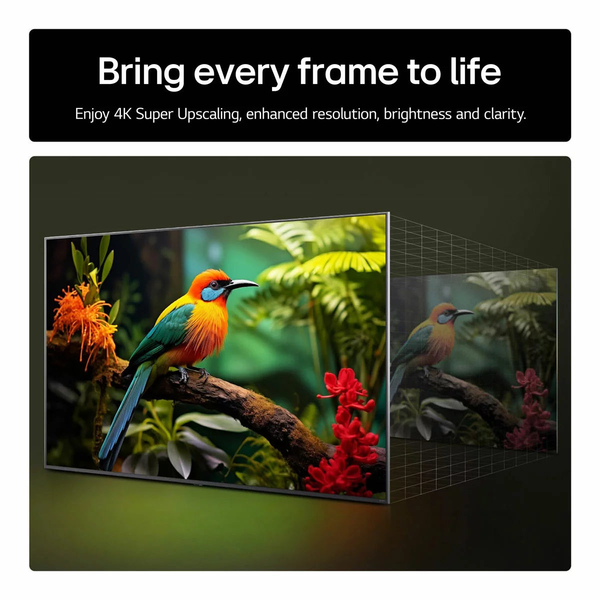 LG 65UA75006LA 65 Inch 4K Ultra HD Smart TV