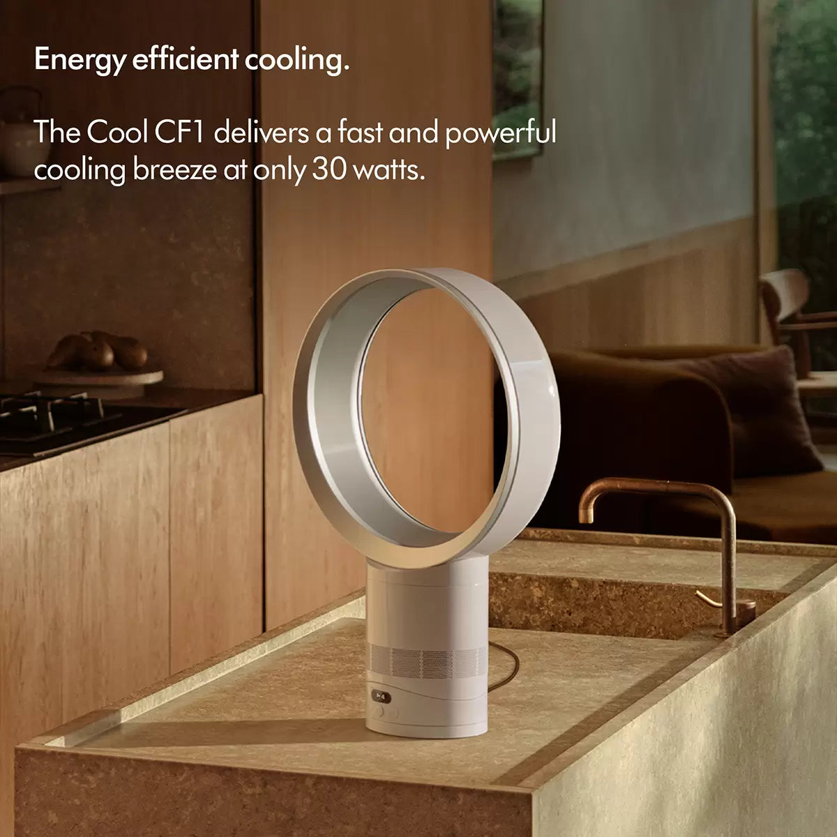 Dyson Cool™ CF1 Desk Fan