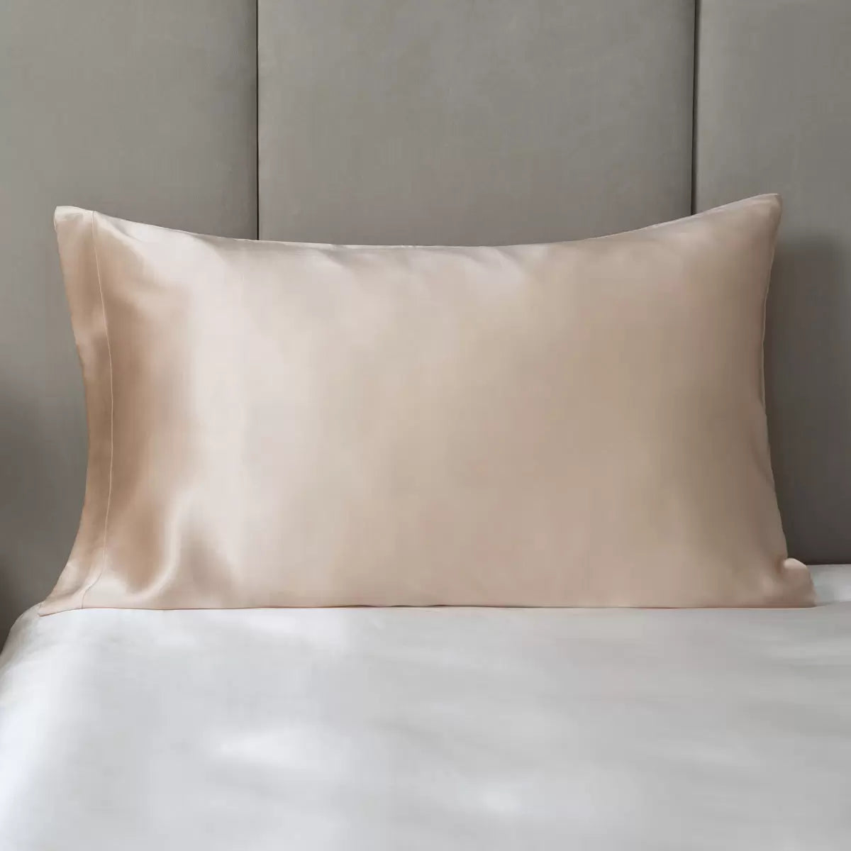 Cocoonzzz 100% Mulberry Silk Pillowcase