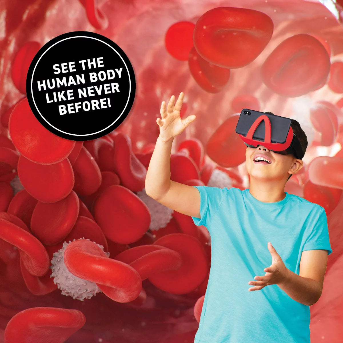 VR Box Set Human Body