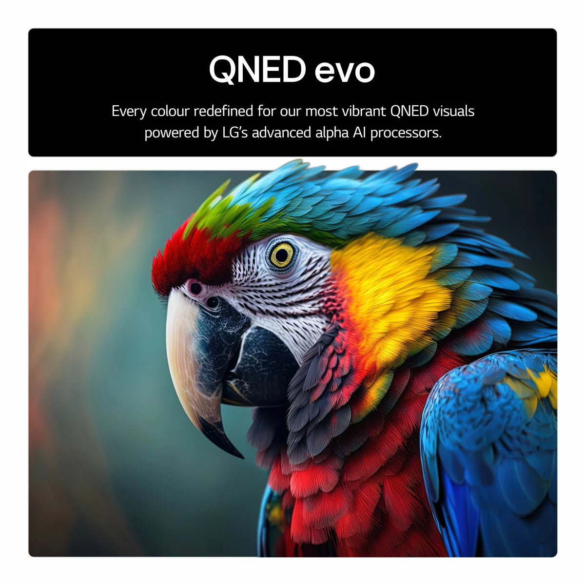 LG 65QNED92A6A 65 Inch QNED 4K Ultra HD Smart TV