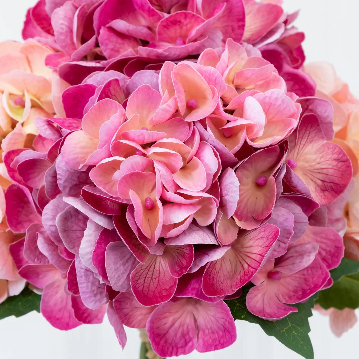 Real Touch Artificial Hydrangea in Vase, view 13