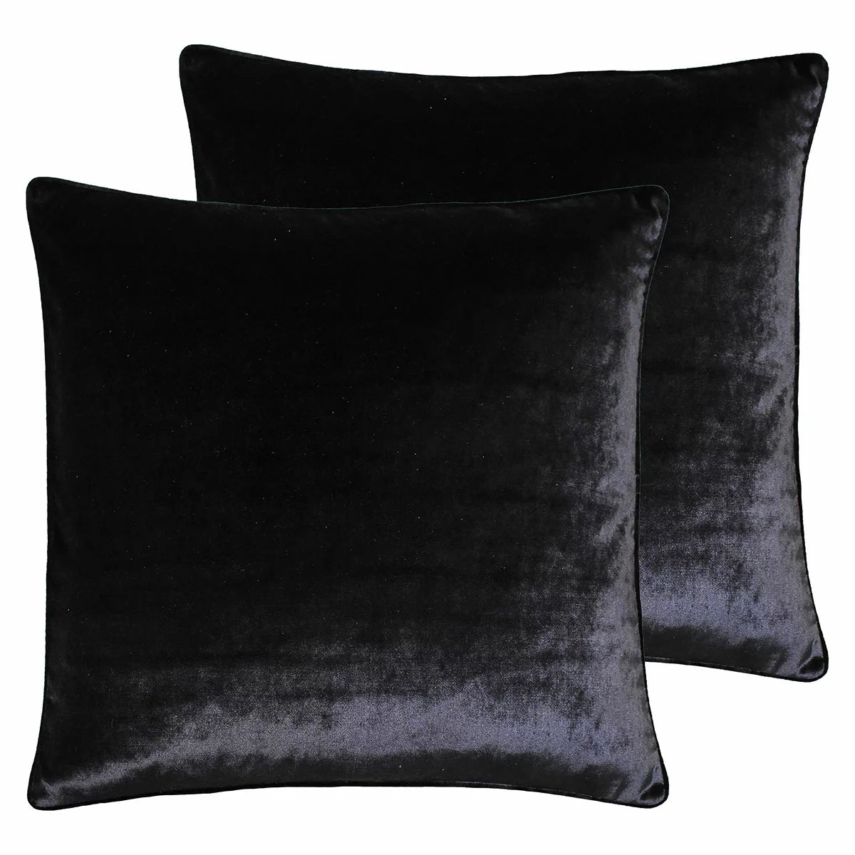 Paoletti Luxe Velvet Feather Fill Cushion 2 Pack, 55 x 55 cm
