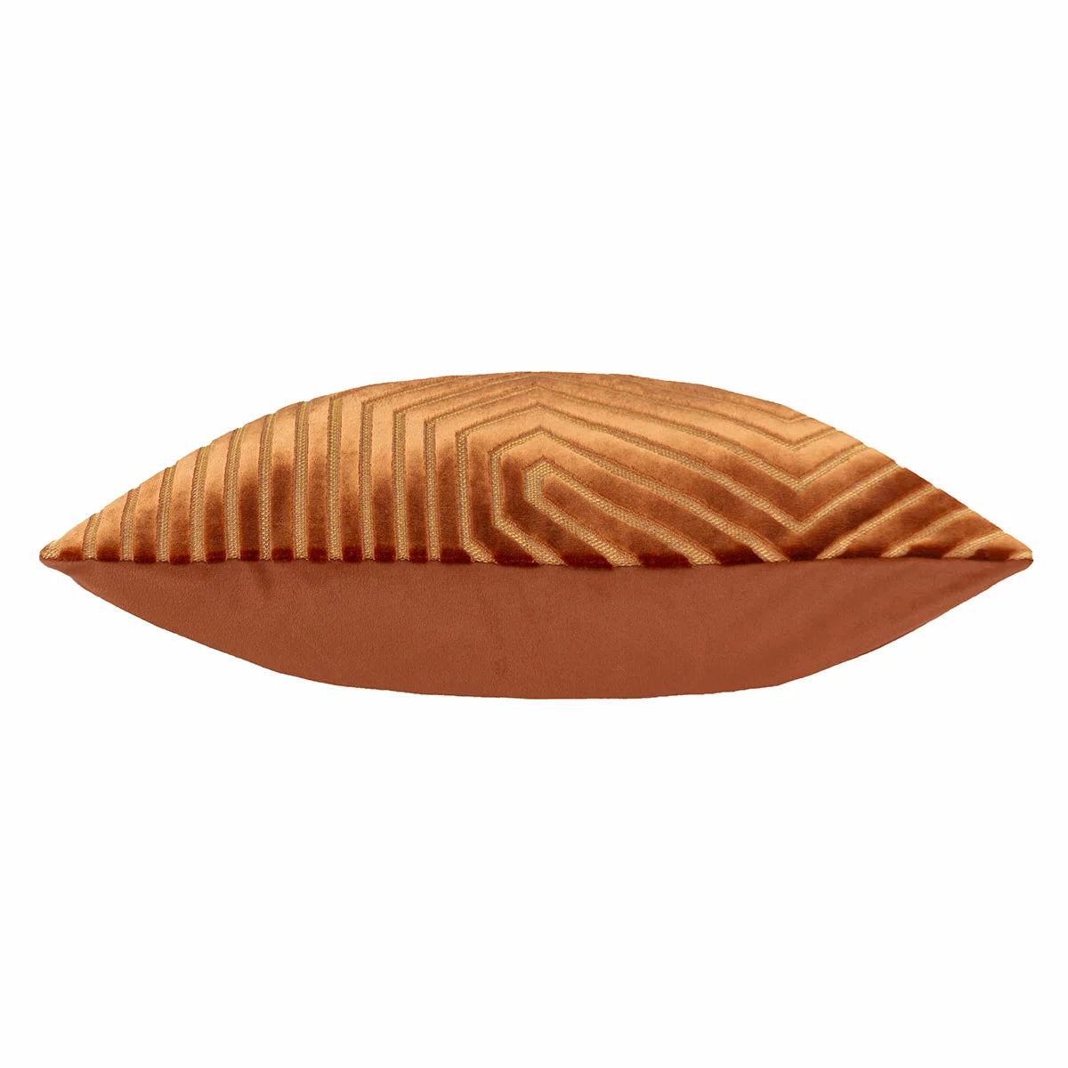 Paoletti Evoke Velvet Feather Fill Cushion 2 Pack, 45 x 45 cm