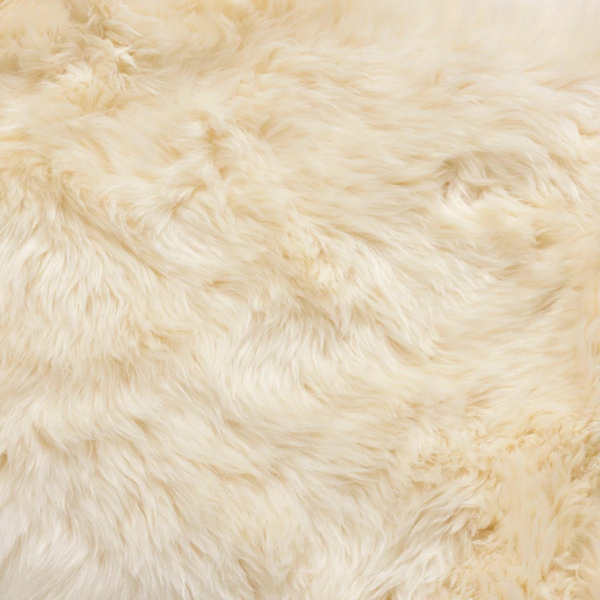 Bowron Longwool 100% Sheepskin Octo Rug, view 8