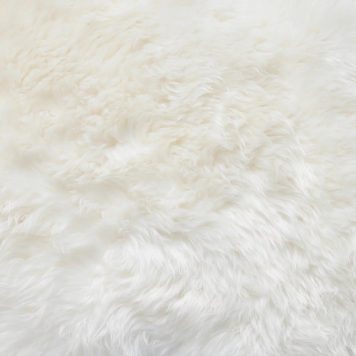 Bowron Longwool 100% Sheepskin Octo Rug, view 14