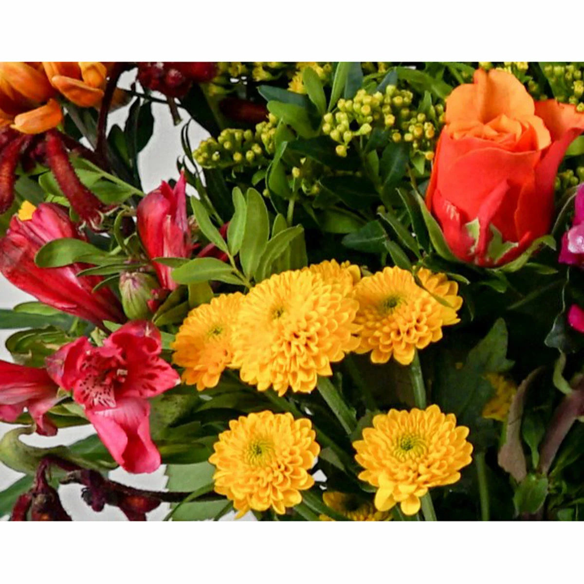 22 Stem Autumn Serenade Mixed Flower Bouquet