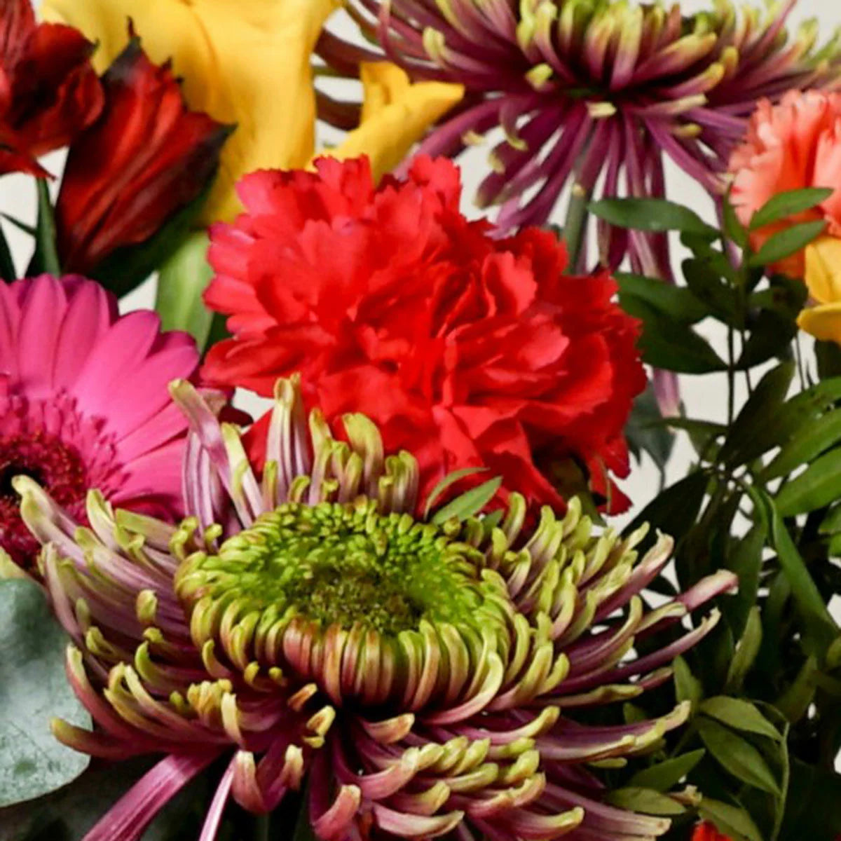 25 Stem Vibrant Crush Mixed Flower Bouquet