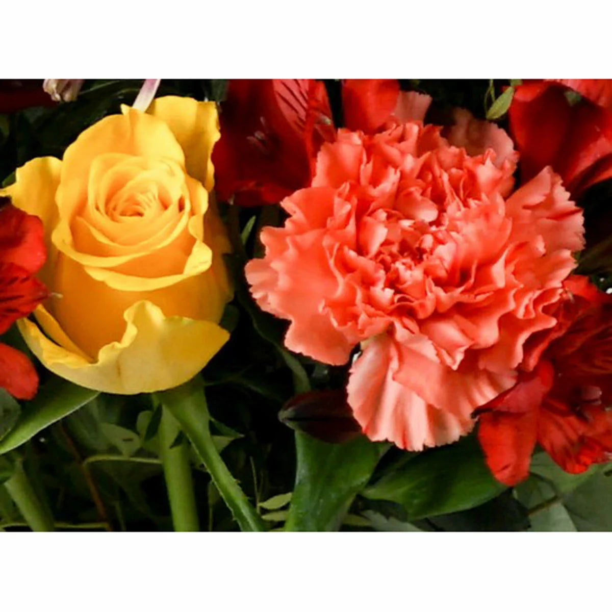 25 Stem Vibrant Crush Mixed Flower Bouquet
