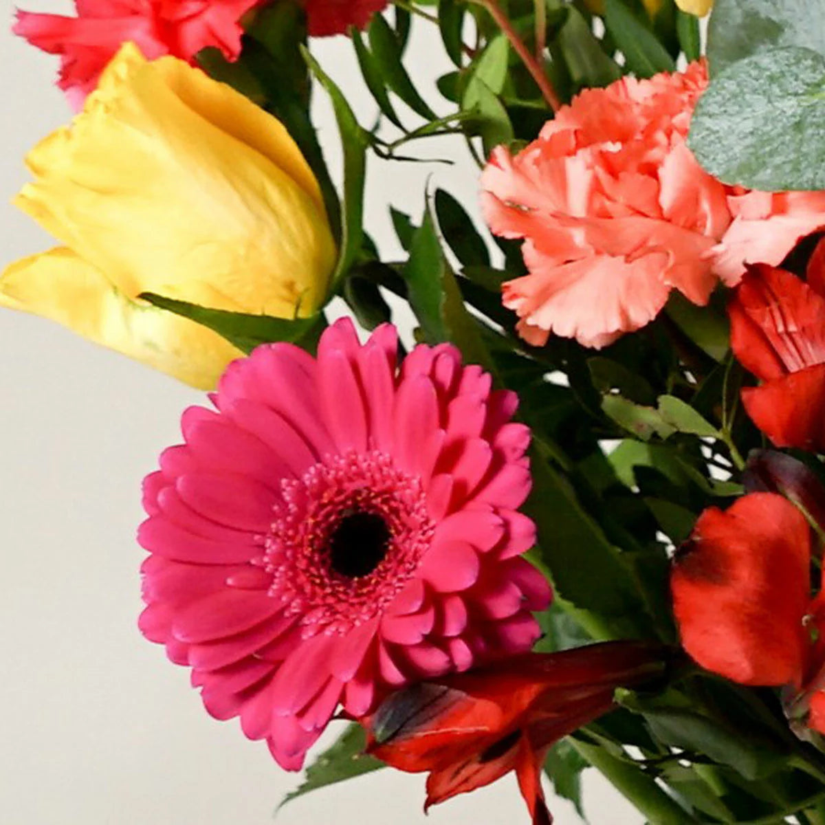 25 Stem Vibrant Crush Mixed Flower Bouquet