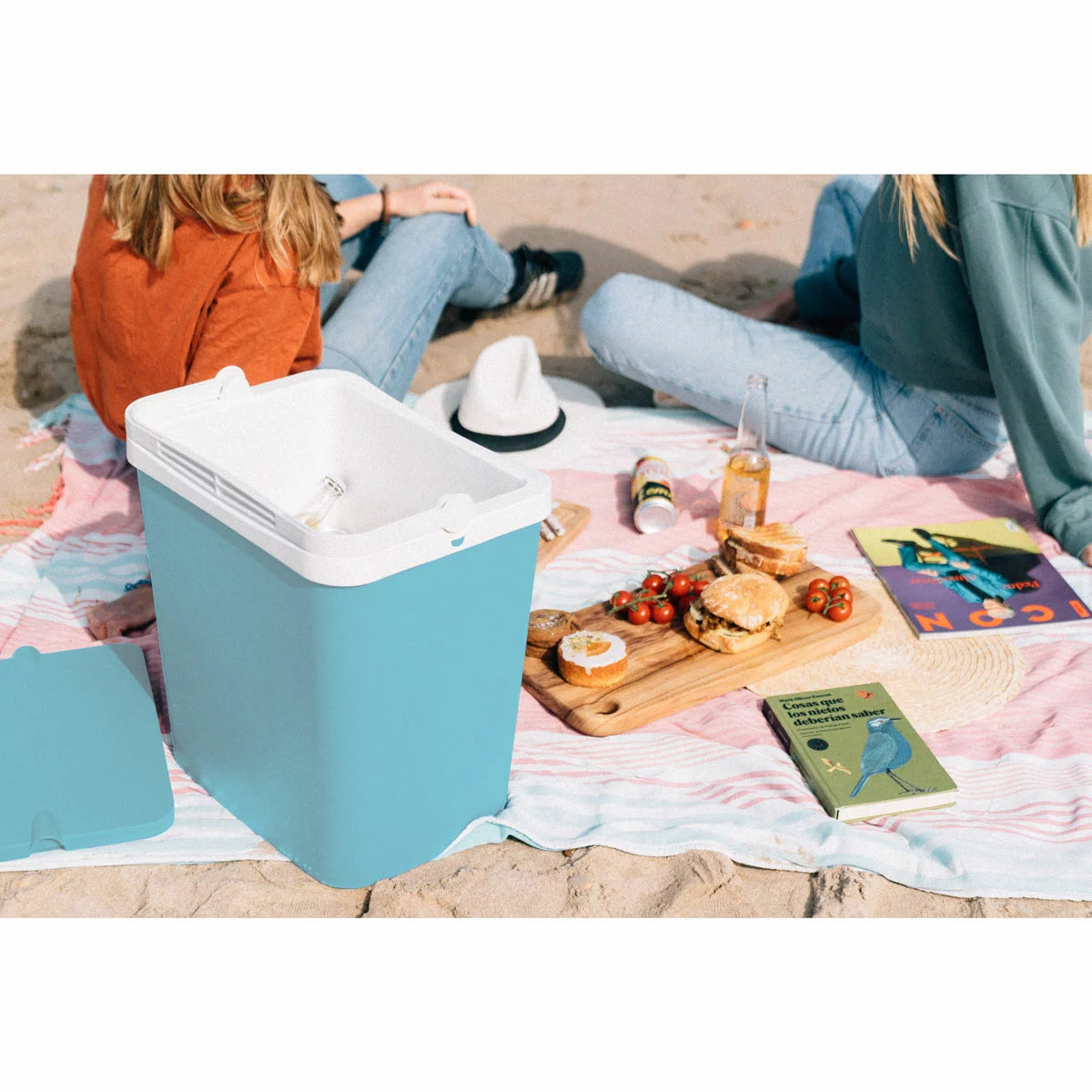 Funtastic 24L Cooler Box