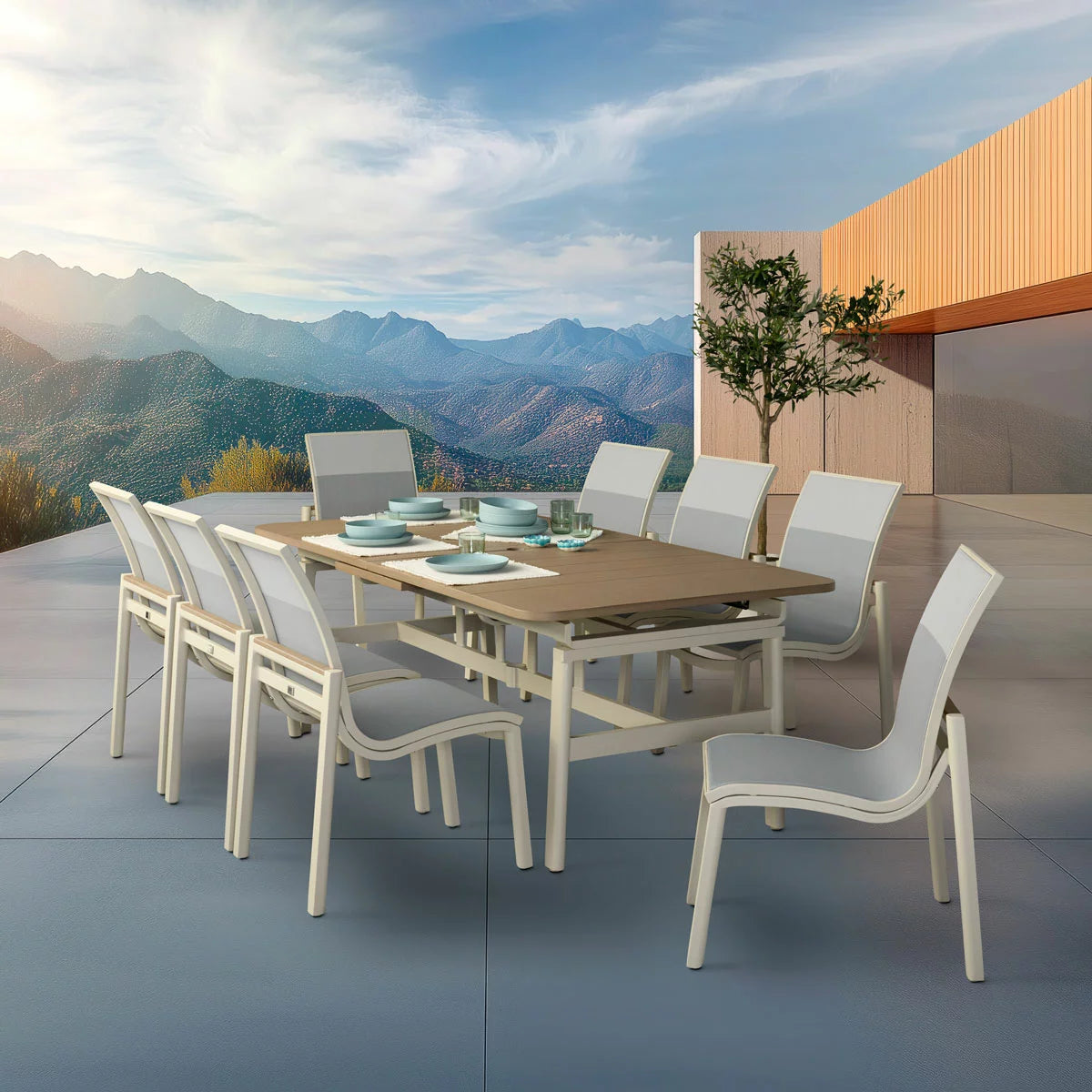Agio Morien 9 Piece Extendable Dining Set + Cover