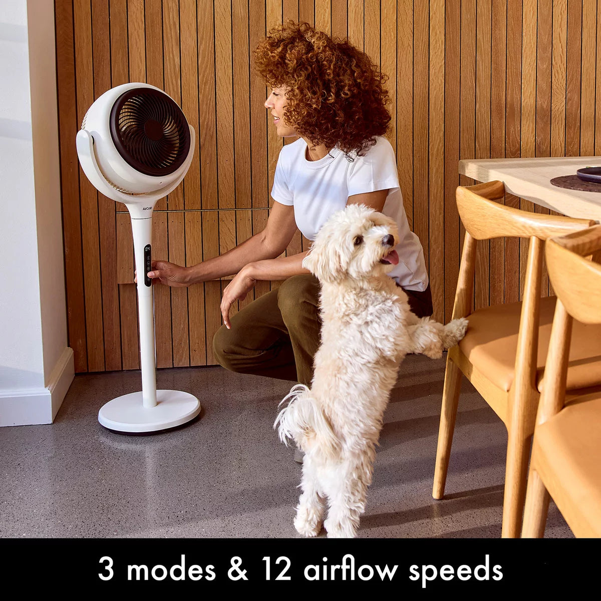 AirCraft LUME Ultra Quiet 2 in 1 Air Circulator Fan With Remote & LED Backlight
