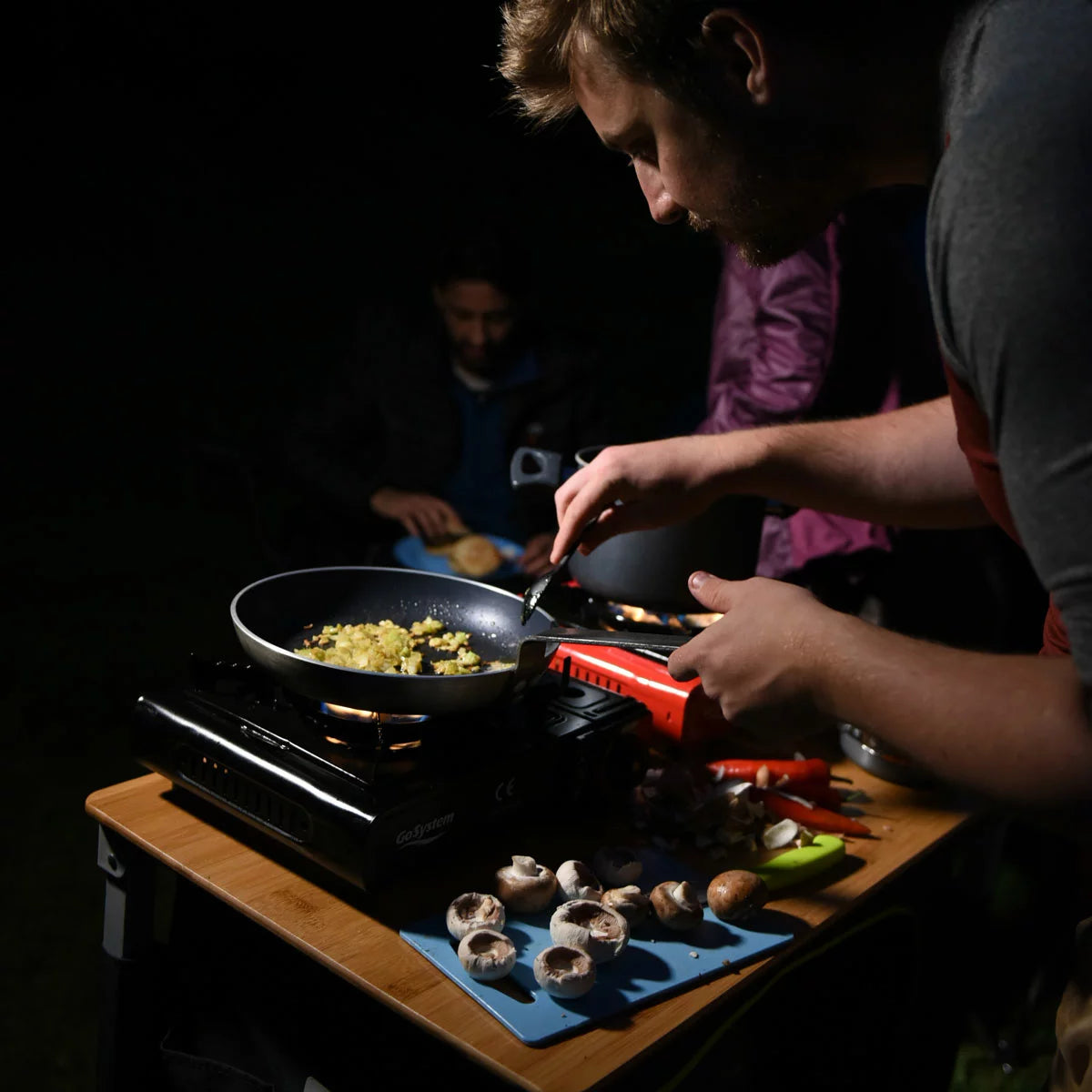 GoSystem Dynasty Compact II Stove