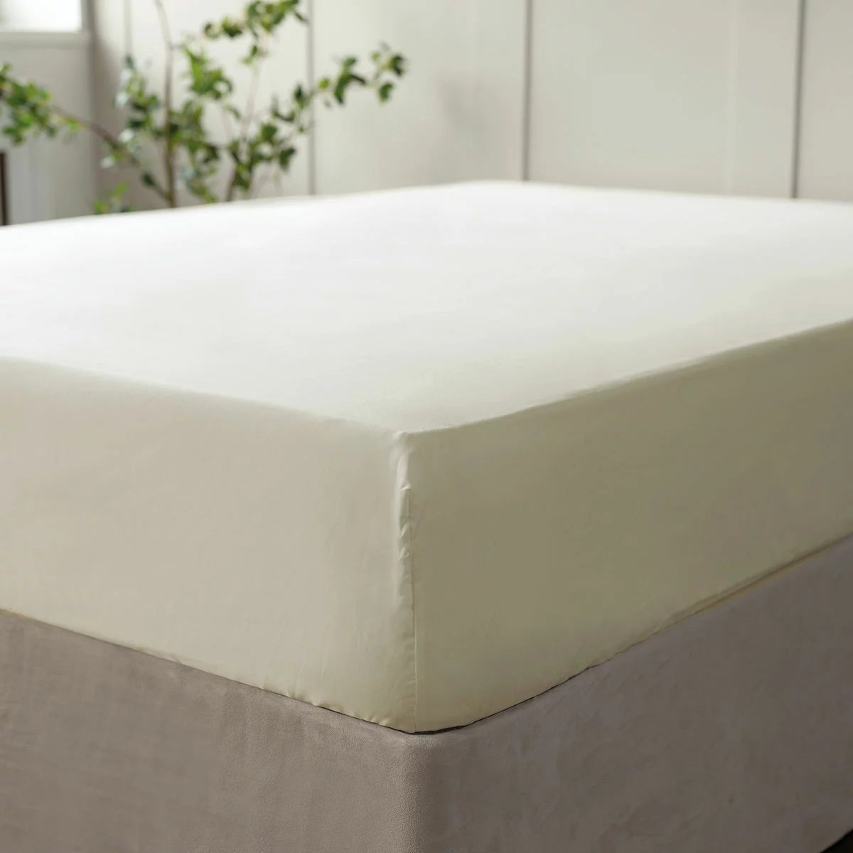 Belledorm 600 Thread Count Cotton Ivory Fitted Sheet in 3 Sizes