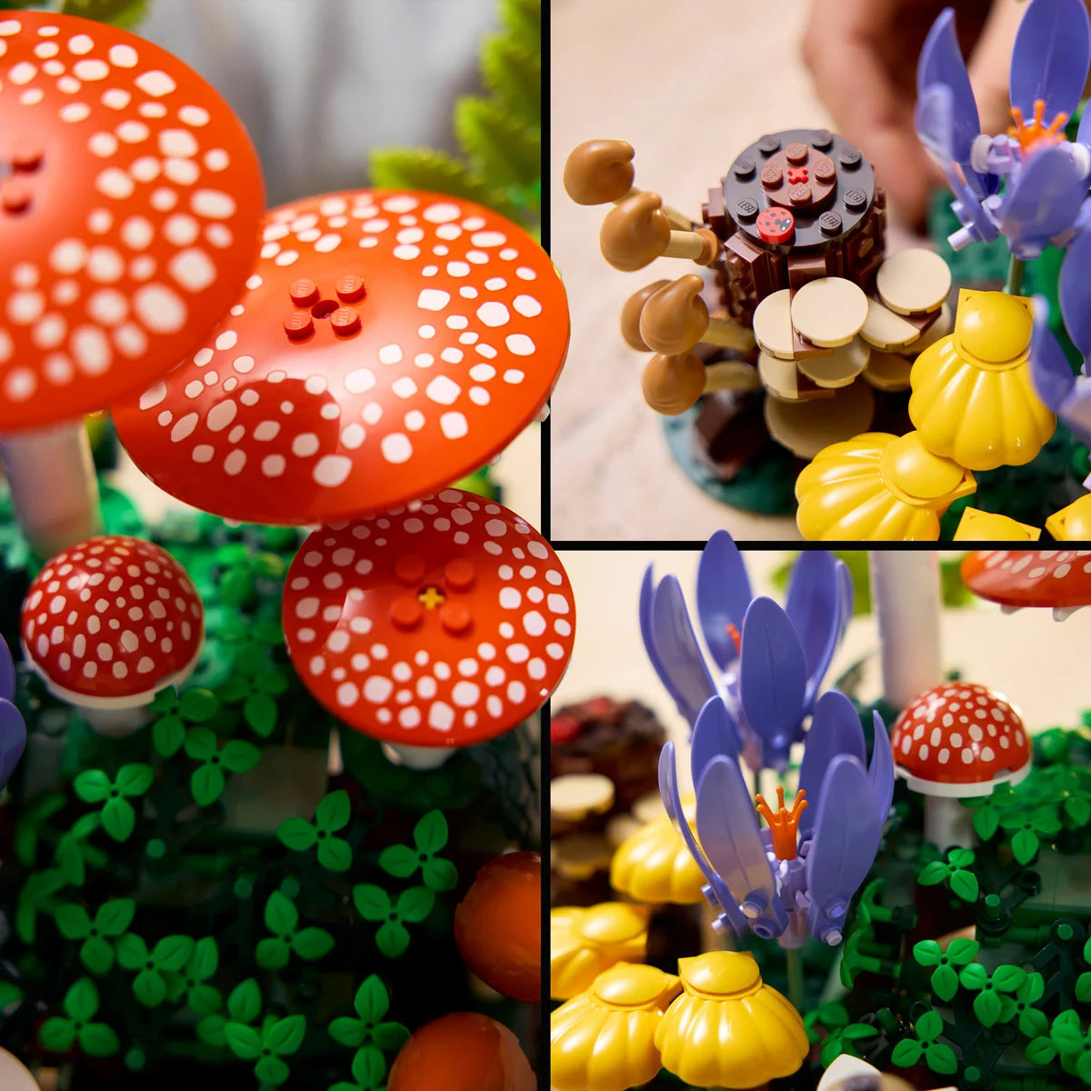 LEGO Botanicals Woodland Mushrooms - Model 11505 (18+ Years)