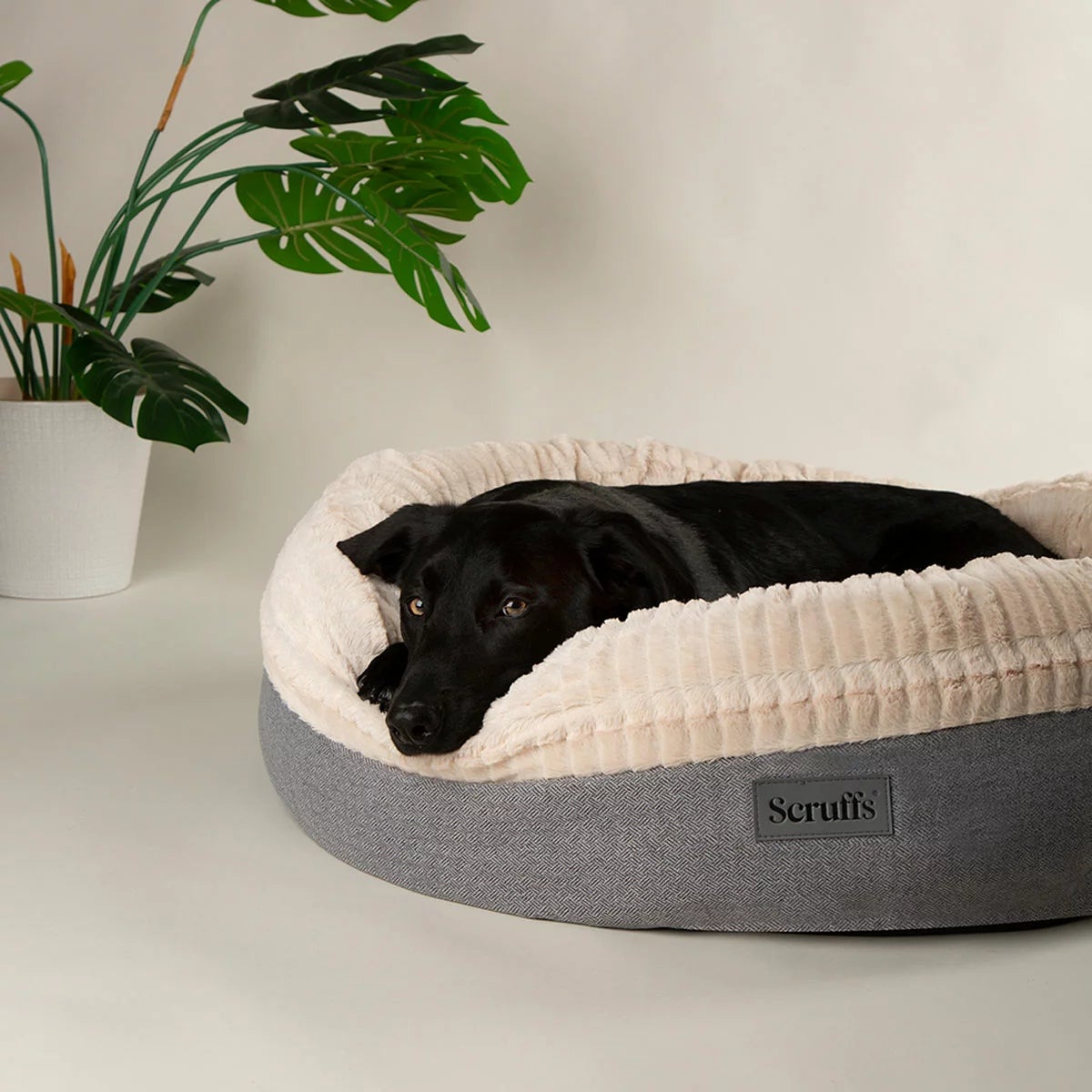 Scruffs® Ellen Donut Medium Bed, 55cm, view 10