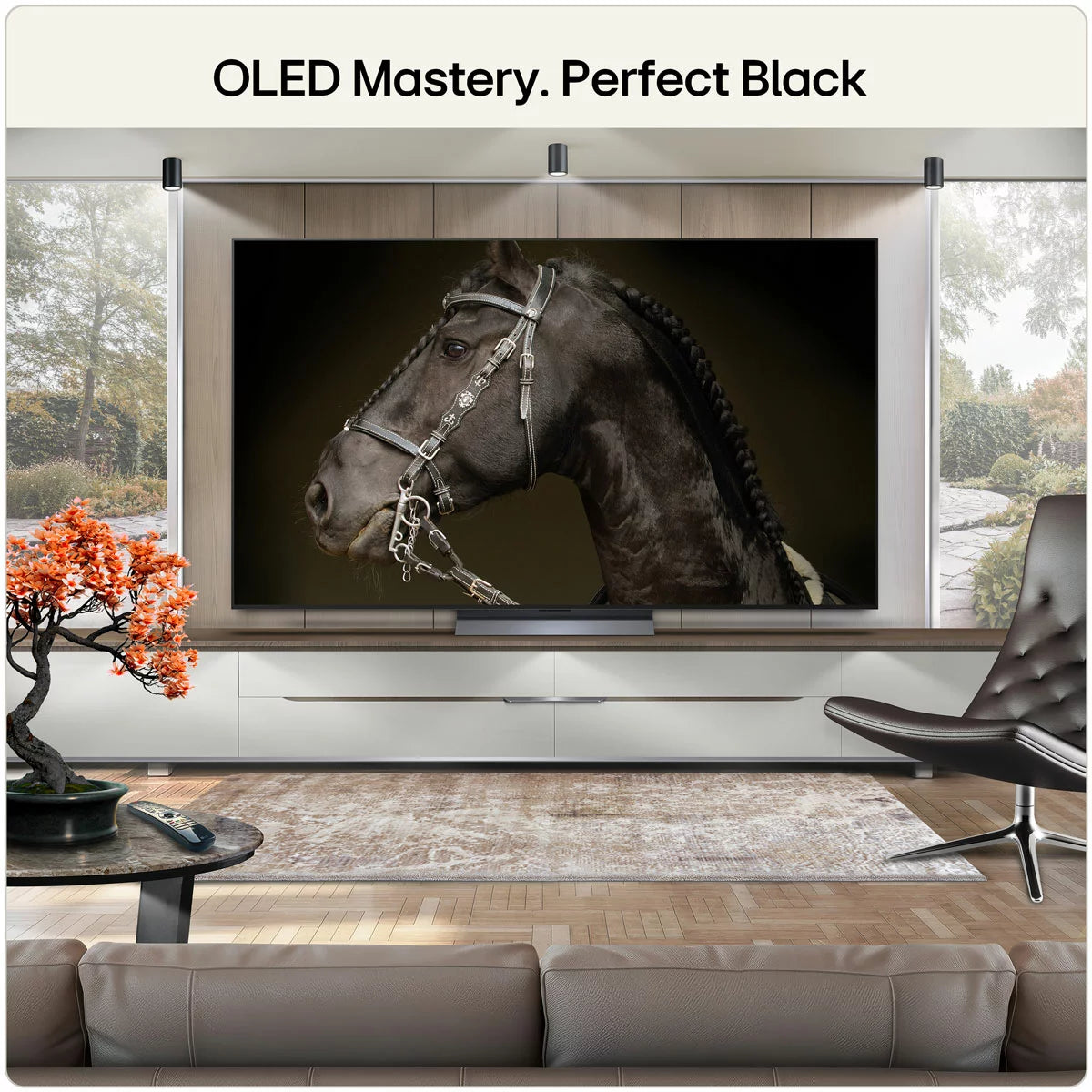 LG OLED77C65LA 77 Inch OLED 4K Ultra HD Smart TV