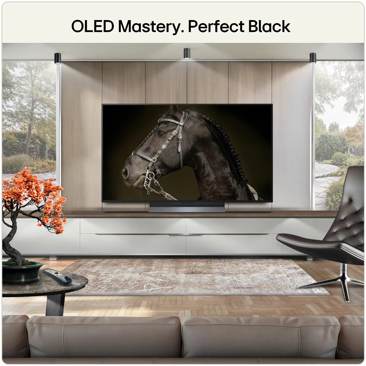 LG OLED48C65LA 48 Inch OLED 4K Ultra HD Smart TV