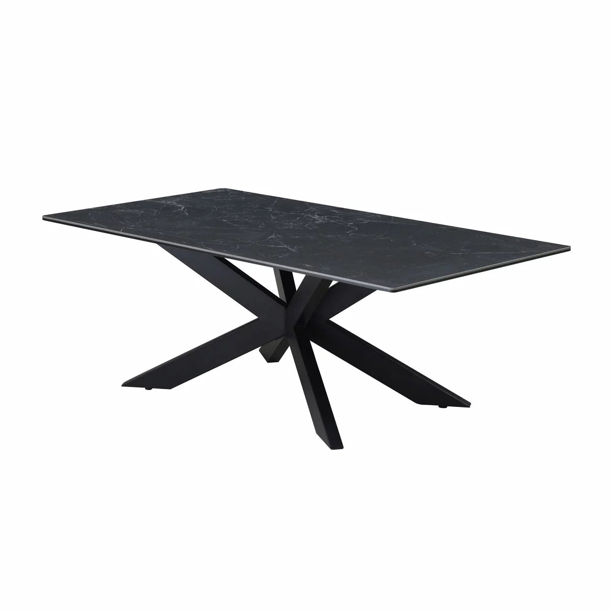 Indus Valley Arden Black Ceramic Coffee Table