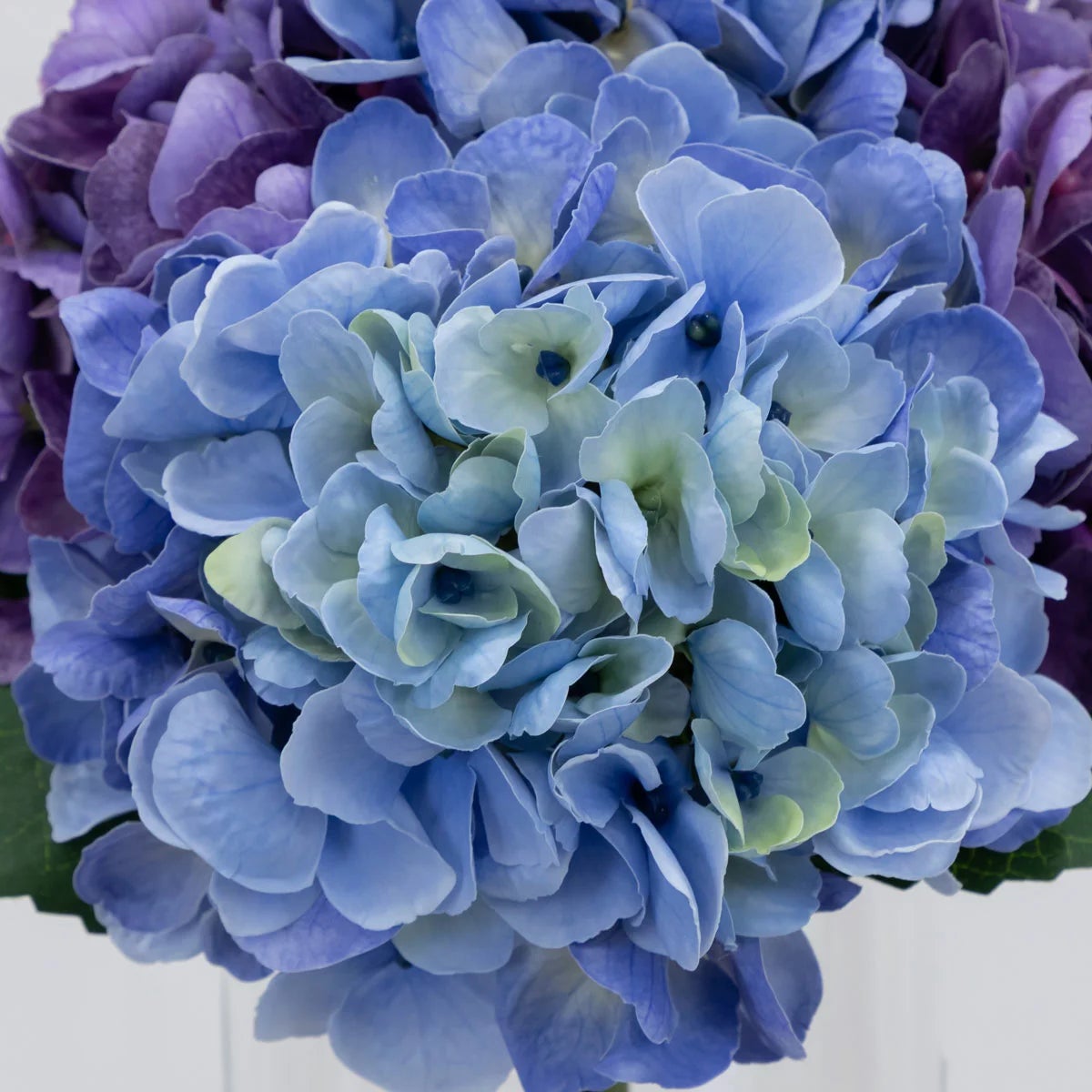 Real Touch Artificial Hydrangea in Vase, view 9