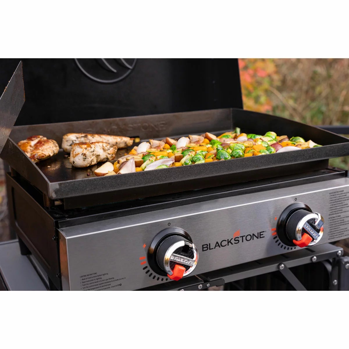 Blackstone 22" Tabletop Gas Griddle with Hood, view 4