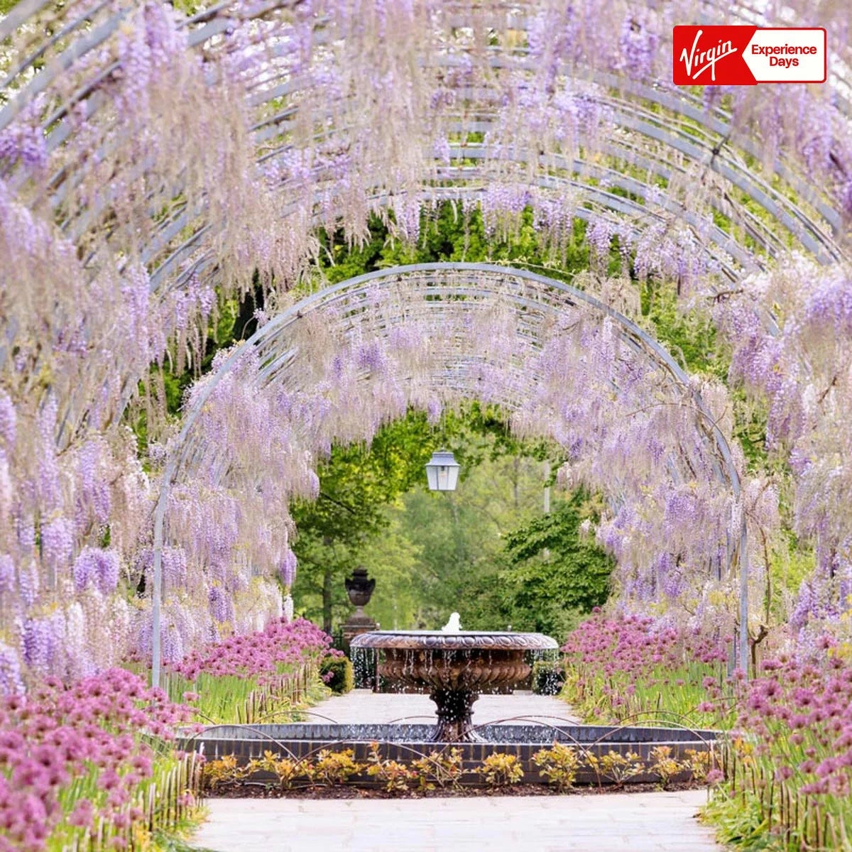 Virgin Experience Days Visit To A RHS Garden For Two, view 3