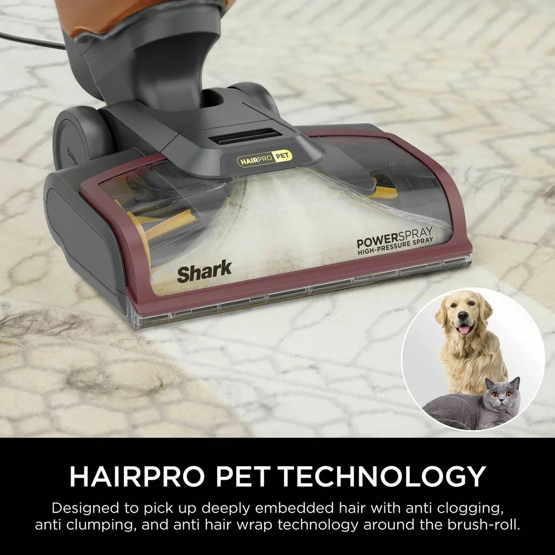 Shark CarpetXpert HairPro Pet Deep Carpet Cleaner EX220UK