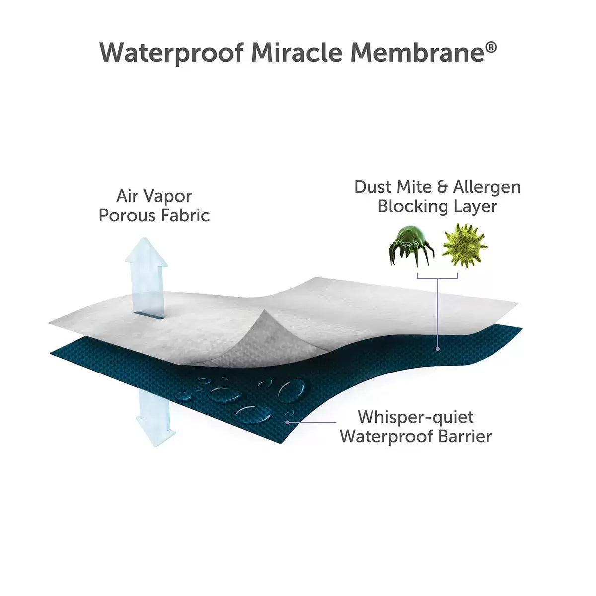 REM-Fit Tencel Cool Mattress Protector, in 5 Sizes