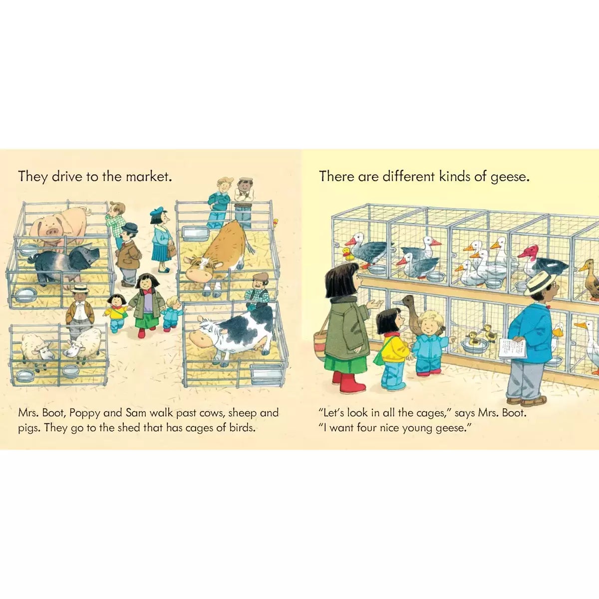 Poppy and Sam x20 Book Collection (2+ Years), view 5